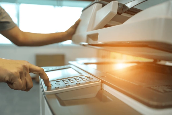 Designer Gráfico Logo